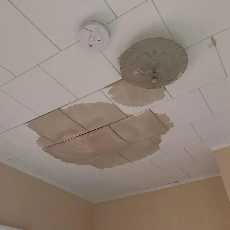 Ceiling Water Damage Repair in Firing Range, GA