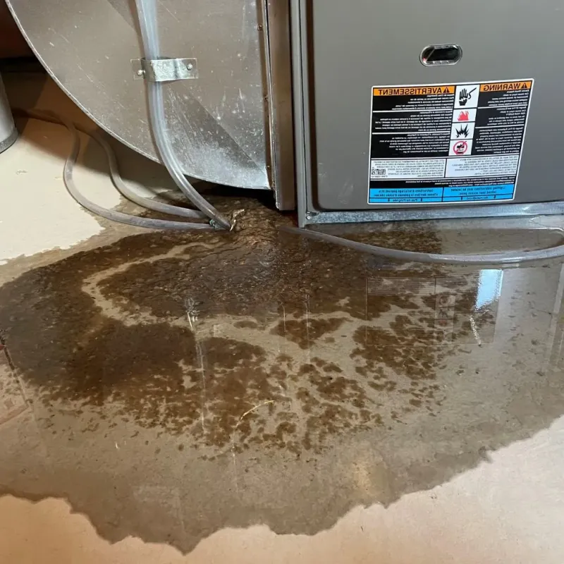 Pipe Burst and Leak Restoration in Firing Range, GA