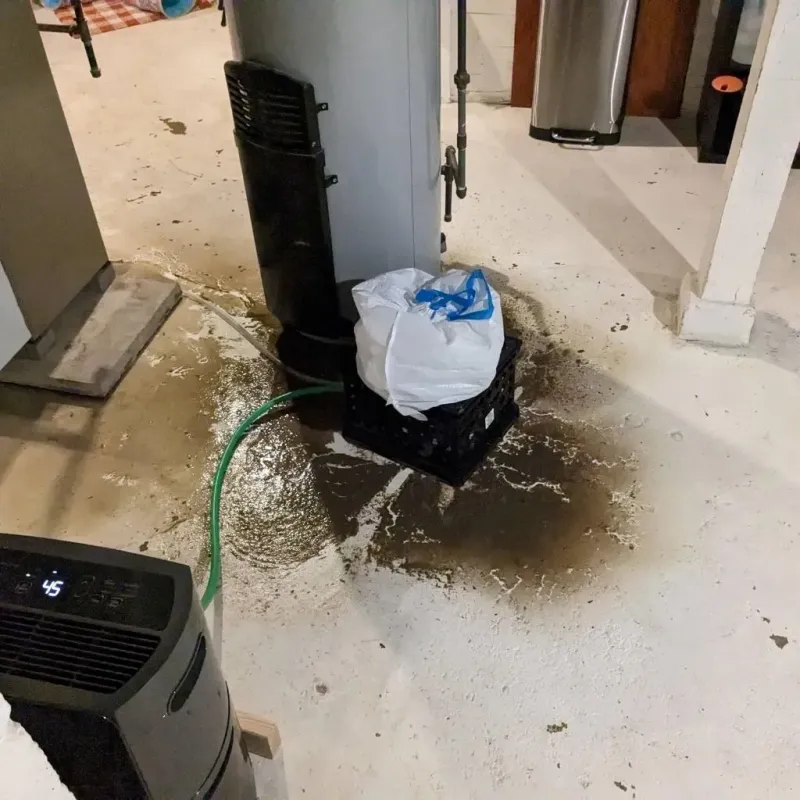 Sewage Backup Cleanup Service in Firing Range, GA